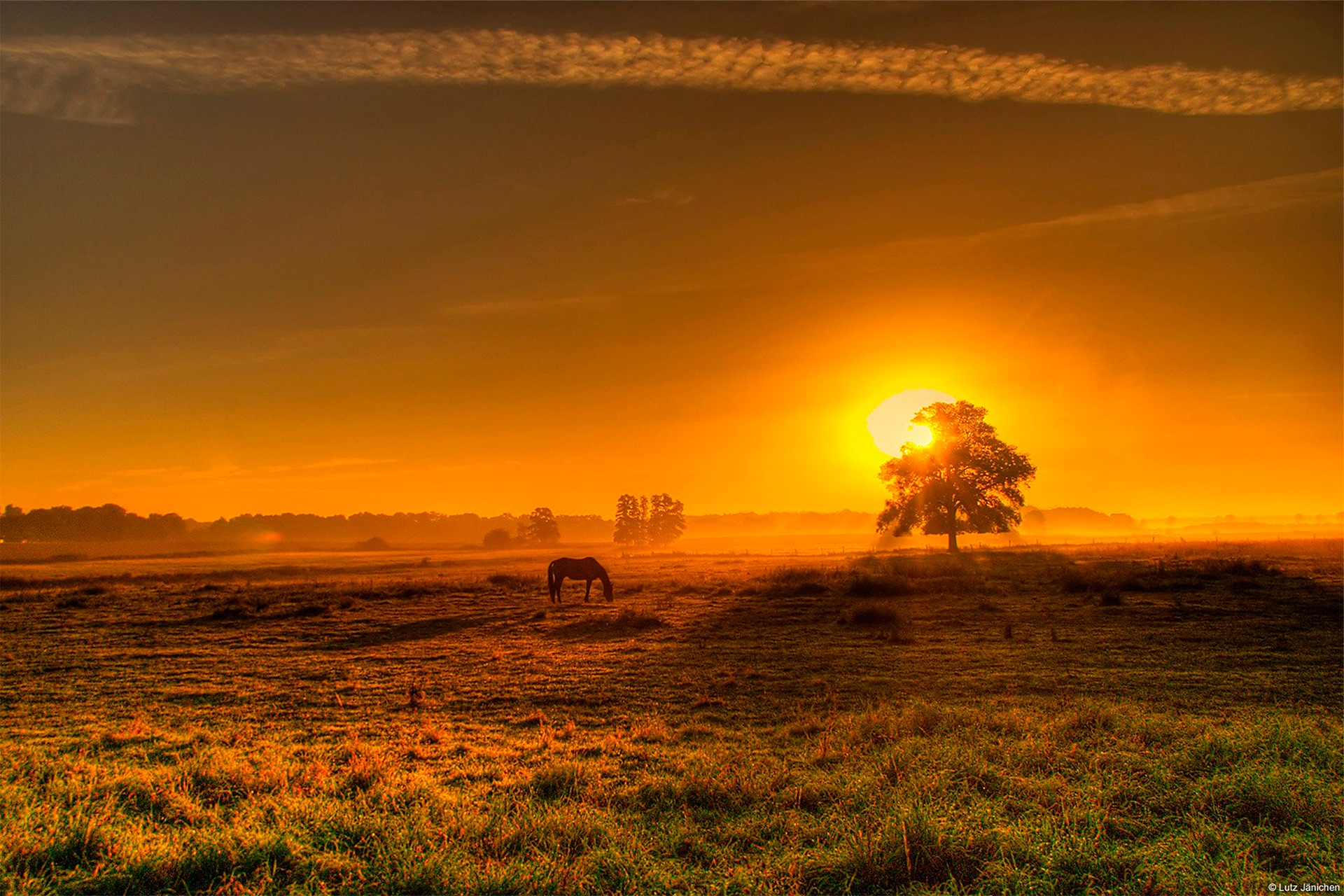 Country morning. Закат в степи. Закат в поле. Степной пейзаж. Рассвет в степи.